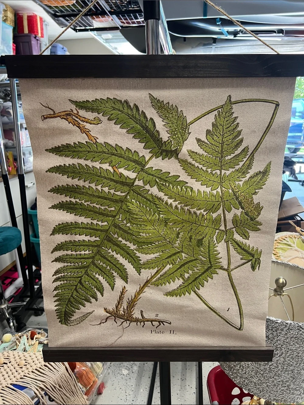 Botanical Fern Wall Hanging - Green Canvas Wall Art